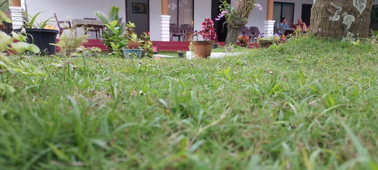 Marari Phoenix Beach Homestay Mararikulam Eksteriør billede