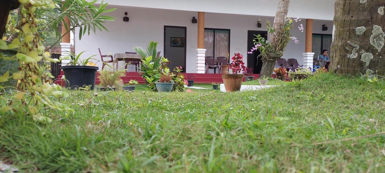 Marari Phoenix Beach Homestay Mararikulam Eksteriør billede