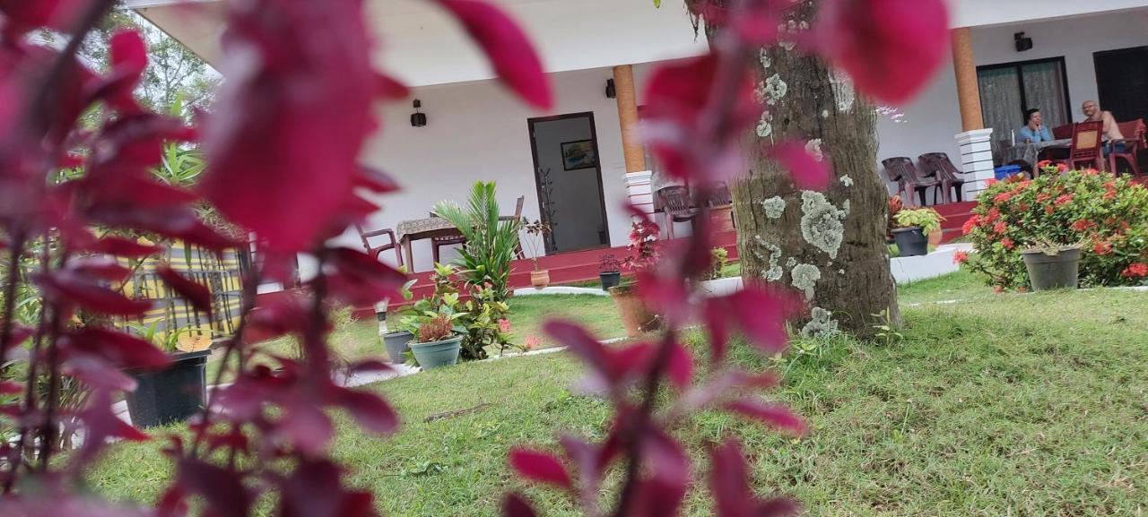 Marari Phoenix Beach Homestay Mararikulam Eksteriør billede